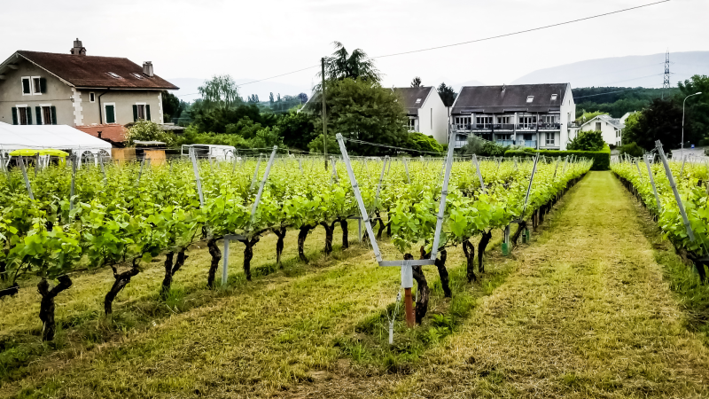 Domaine agricole notaire Roanne